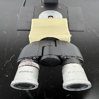 Olympus CKX41 Inverted Microscope image 3